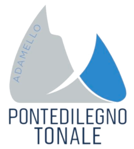 pontedilegnotonale logo